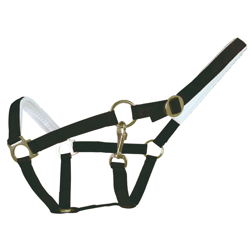 Halfter gepolstert – Bild 2