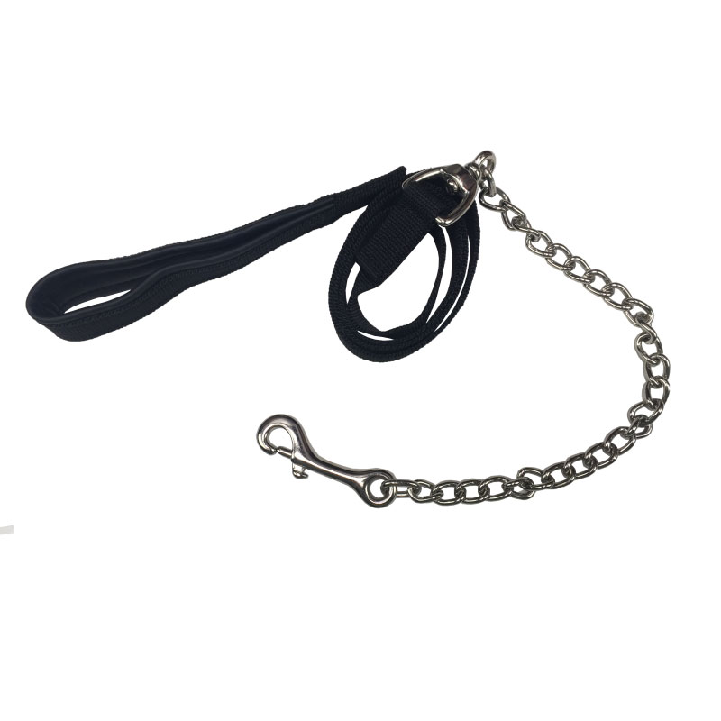 Führleine – Bild 2