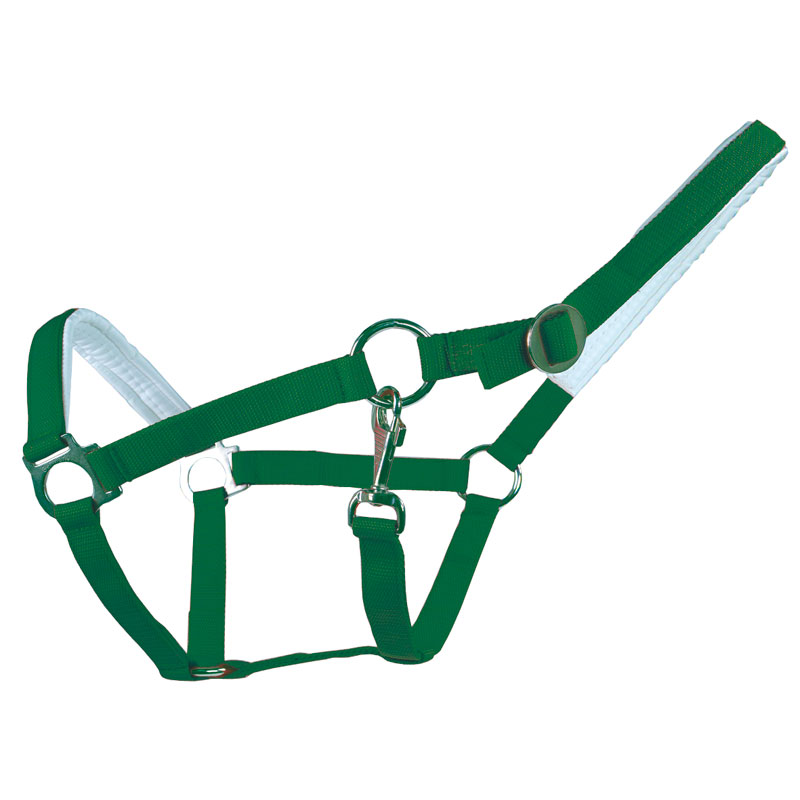 Halfter gepolstert – Bild 4