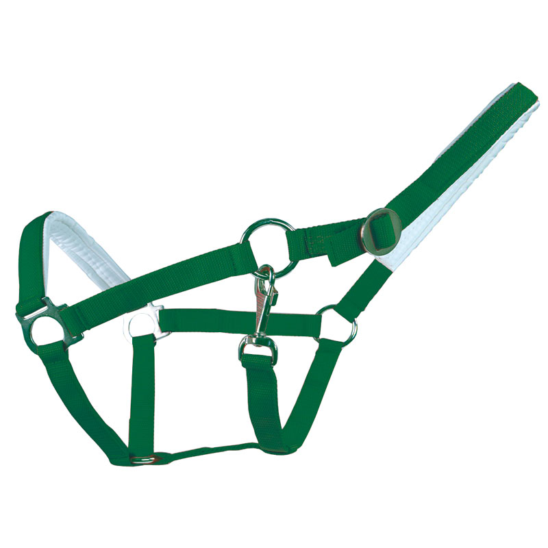 Halfter gepolstert – Bild 3