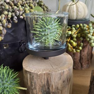 Windlicht Eiche natur 20cm