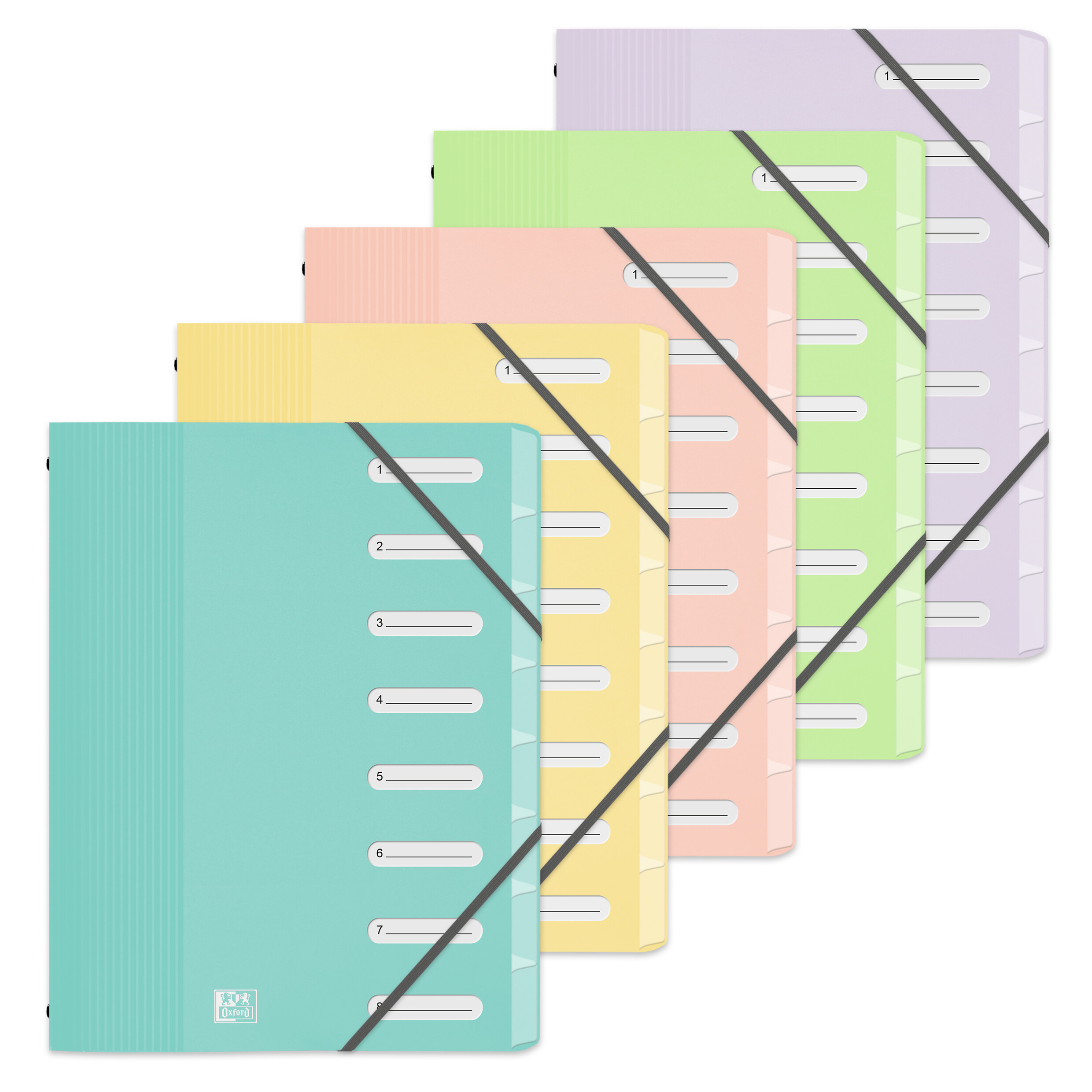 Oxford Fächermappe A4 mit 9 Fächern Plastik Hellgrün – Bild 2