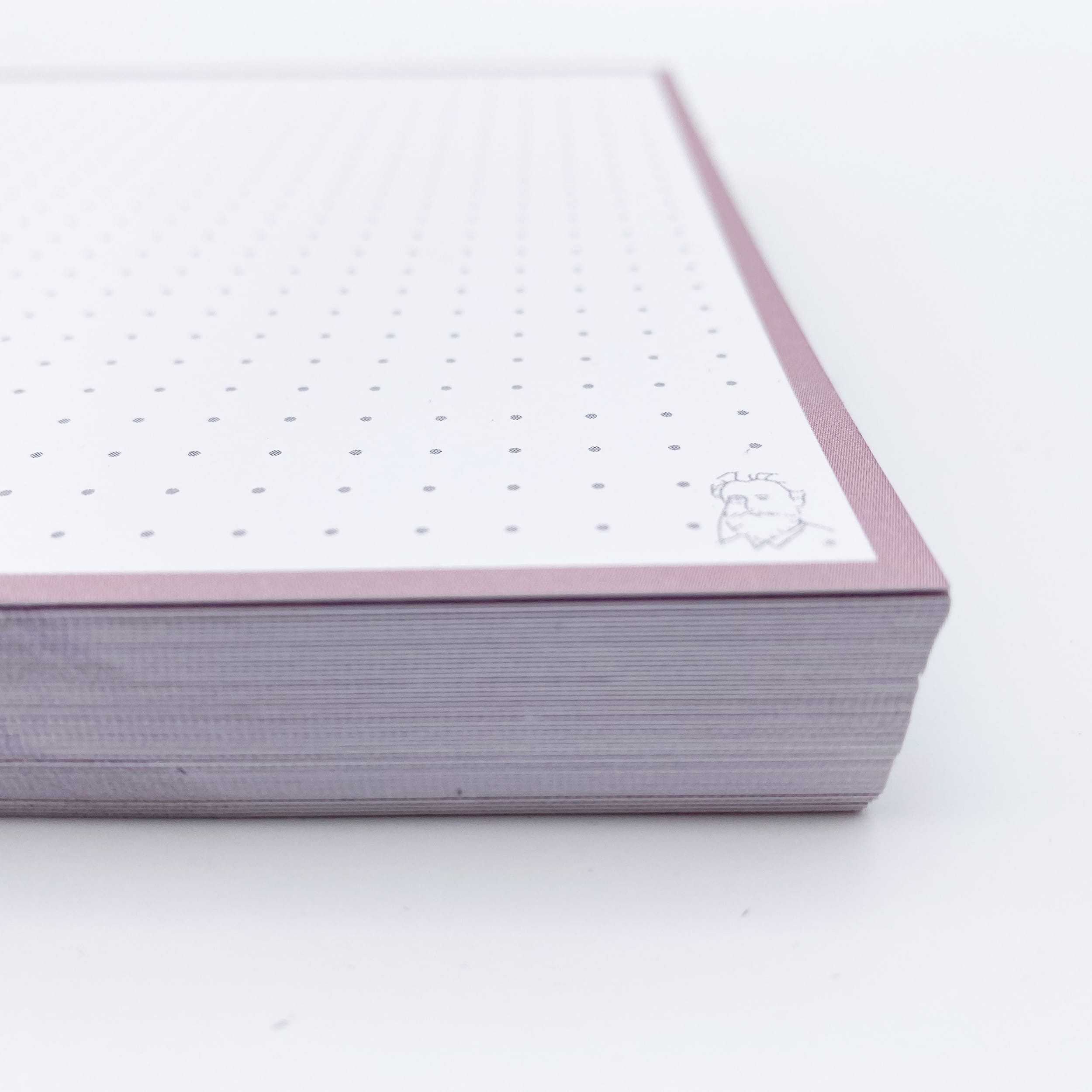 Leitner Flashcards Karteikarten A5 Dotted Altrosa – Bild 4