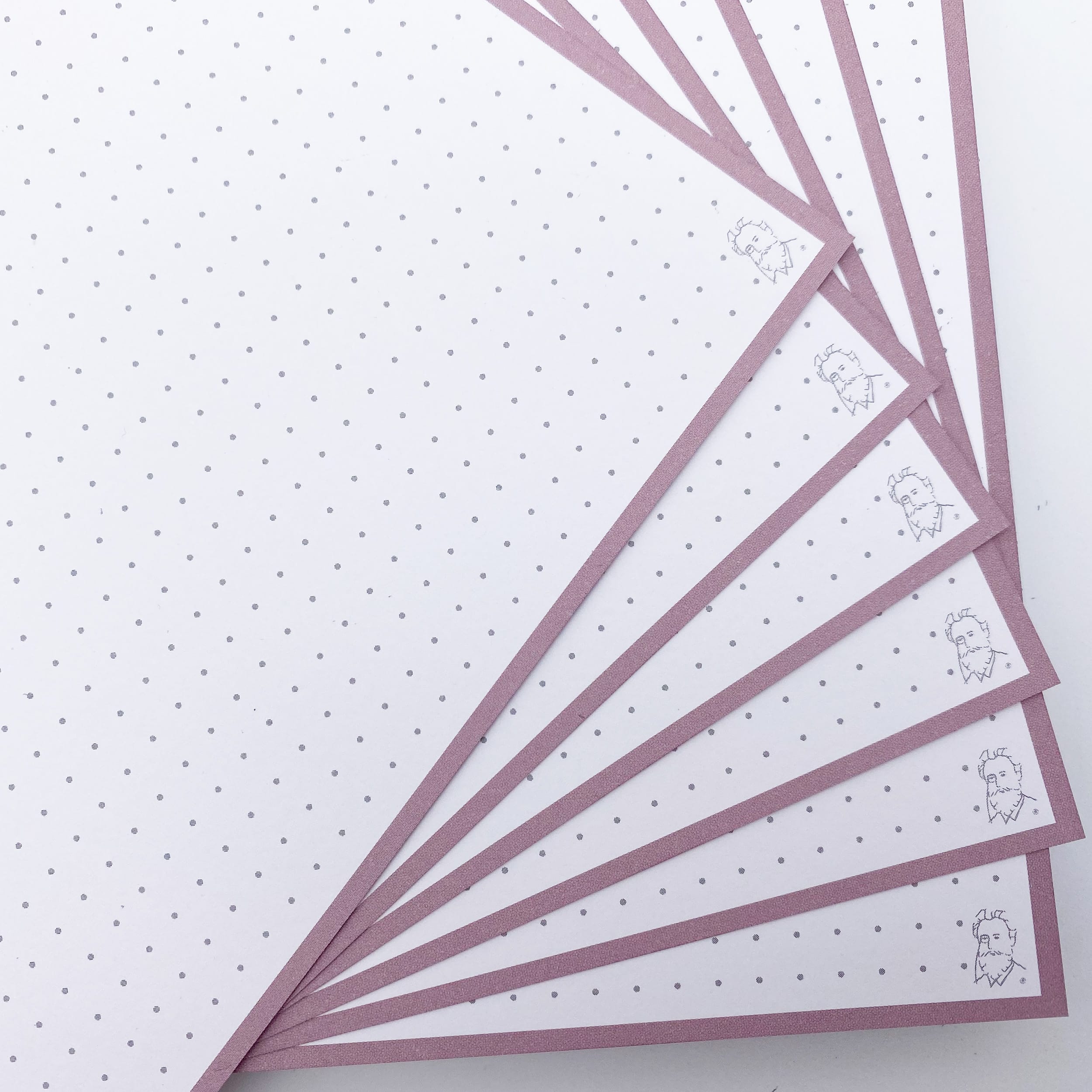 Leitner Flashcards Karteikarten A5 Dotted Altrosa – Bild 2