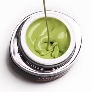 Brush & Go Gel G28 – 4.5ml