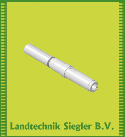 Börger / Welle (Lang)