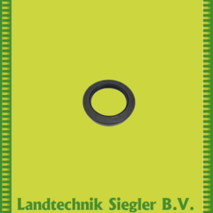 Börger / Wellendichtring