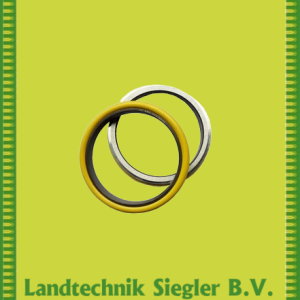 Börger / Gleitringdichtung