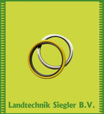 Börger / Gleitringdichtung