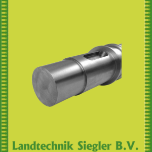 Börger / Welle (kurz)