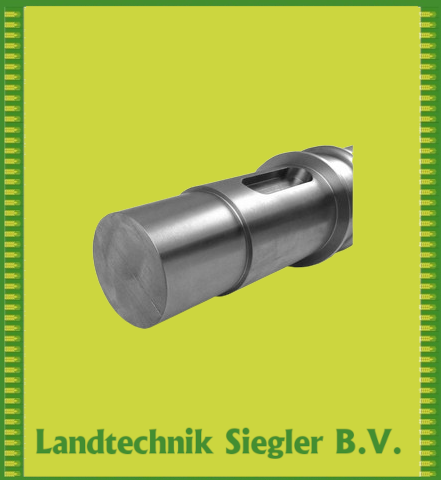 Börger / Welle (kurz)