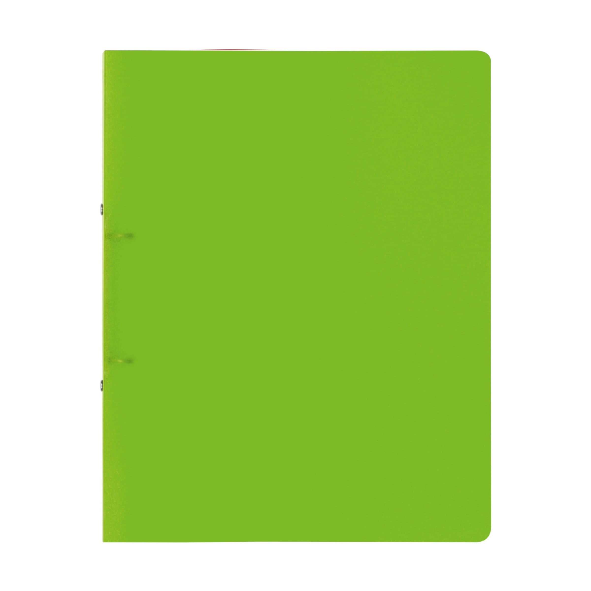 Brunnen FACT! Ringbuch A4 Apfelgrün – Bild 3