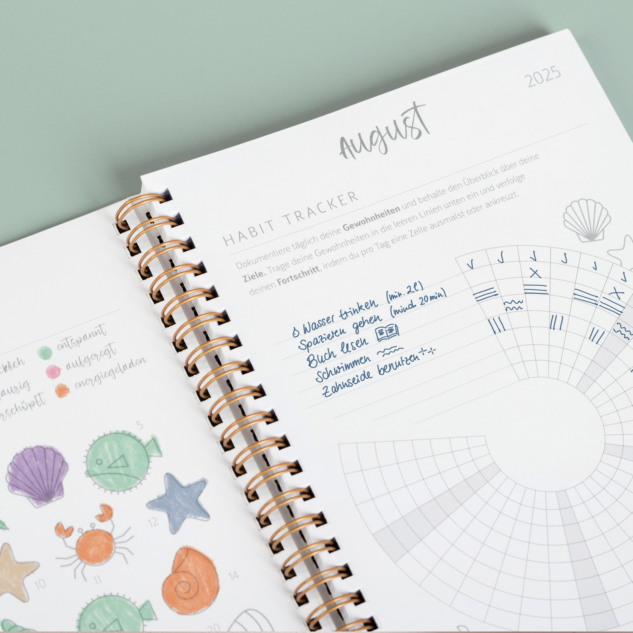 Brunnen Schülerkalender A6 Bär 2025-2026 – Bild 6