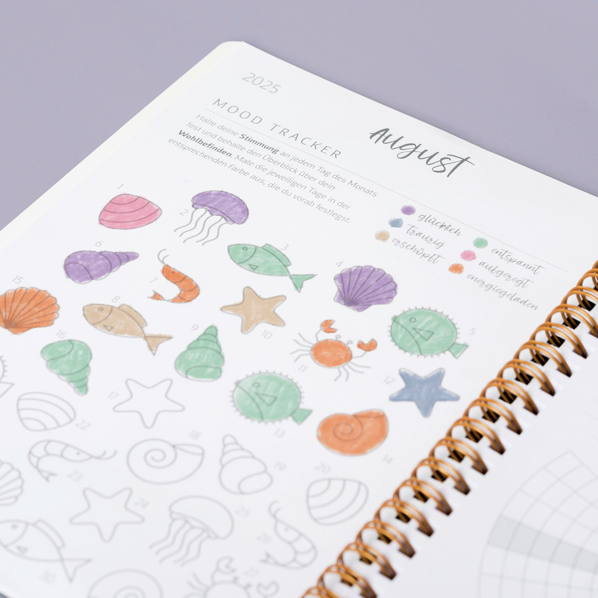 Brunnen Schülerkalender A6 Bär 2025-2026 – Bild 5