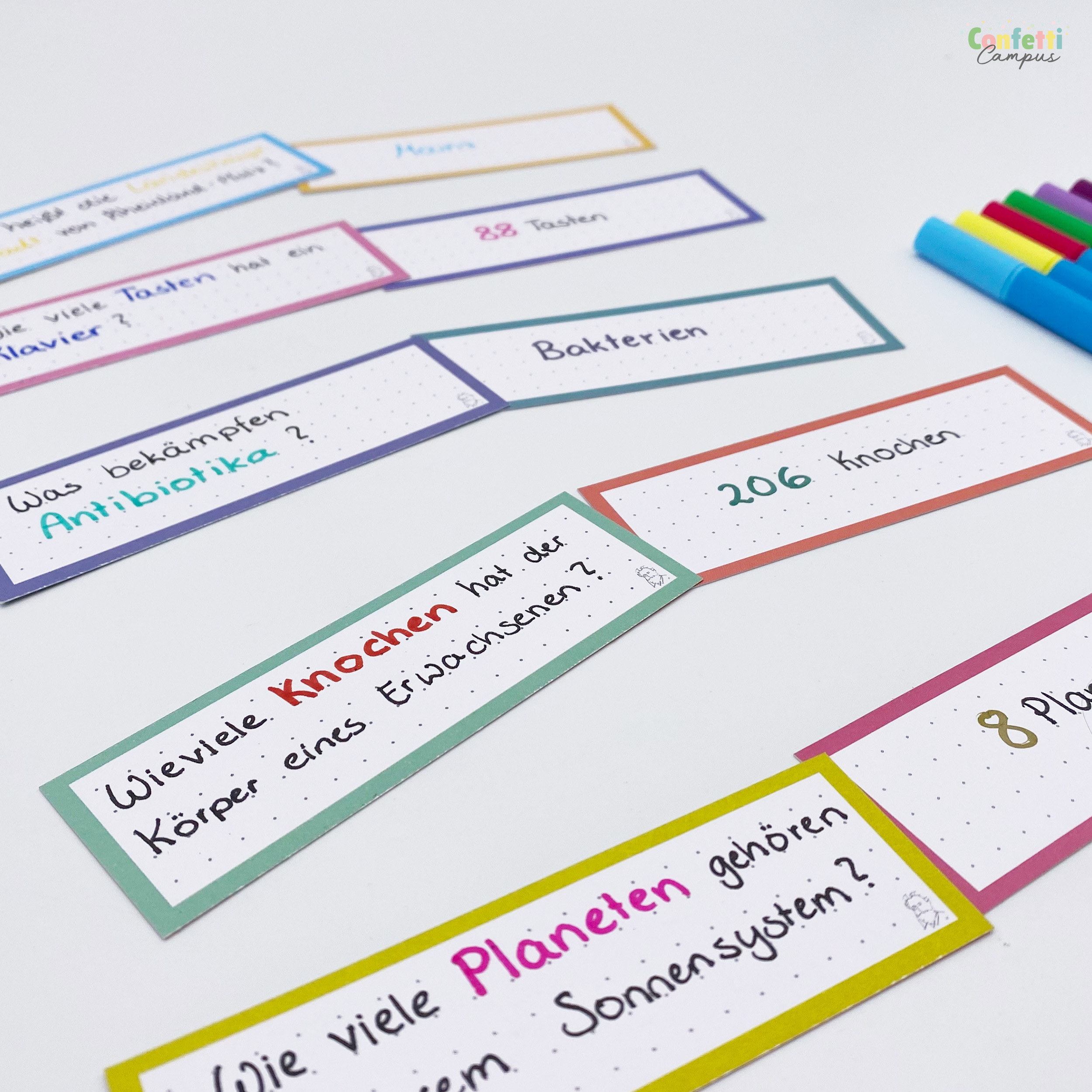 Leitner Flashcards Karteikarten Alle Kollektionen 1000 Vokabelkarten – Bild 3