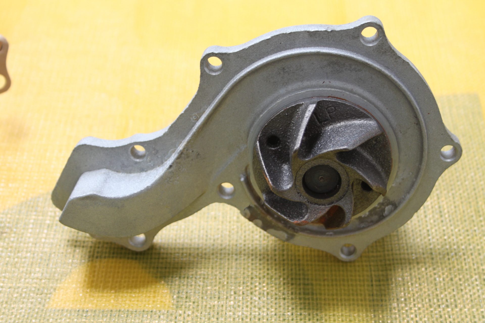 Wasserpumpe Volkswagen