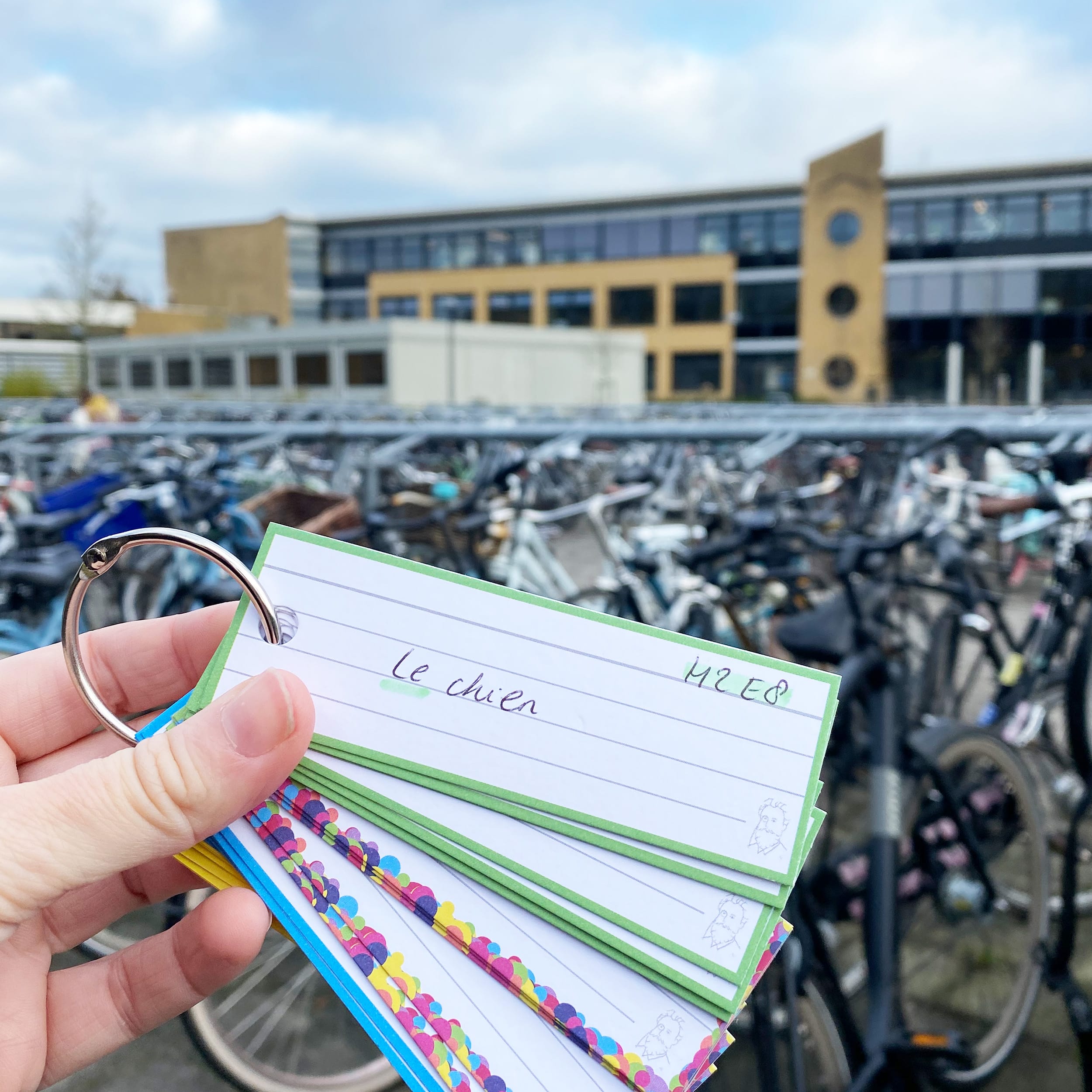 Leitner Flashcards Karteikarten Alle Kollektionen 1000 Vokabelkarten – Bild 9