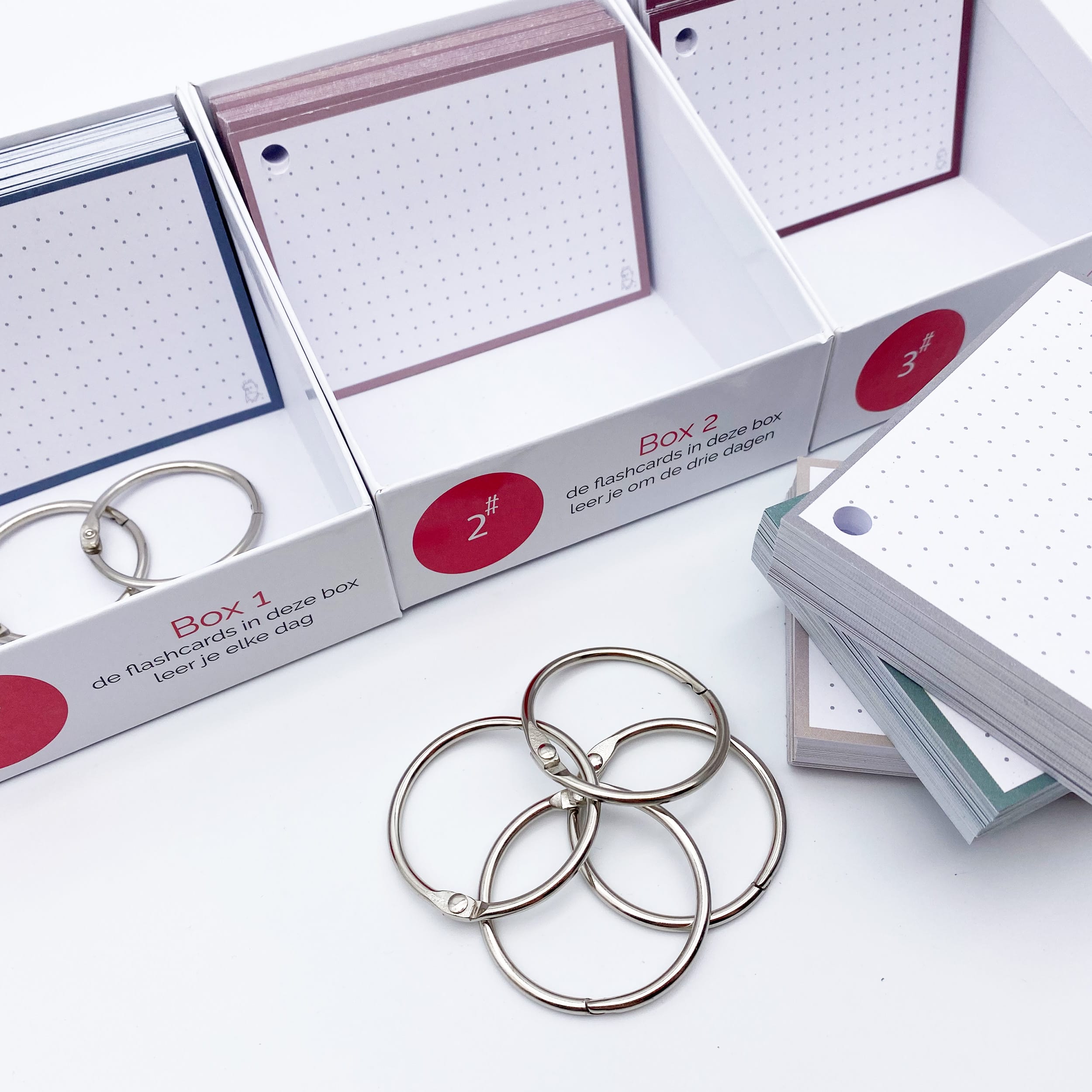 Natural Colour Pack: Set mit 300 Leitner Flashcards Dotted Karteikarten A7 – Bild 9