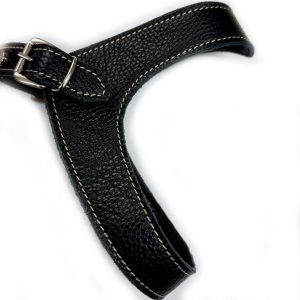 hundeharness kite luxury soft black