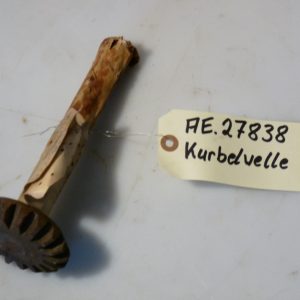 Kurbelwelle pz. Maisgebiss