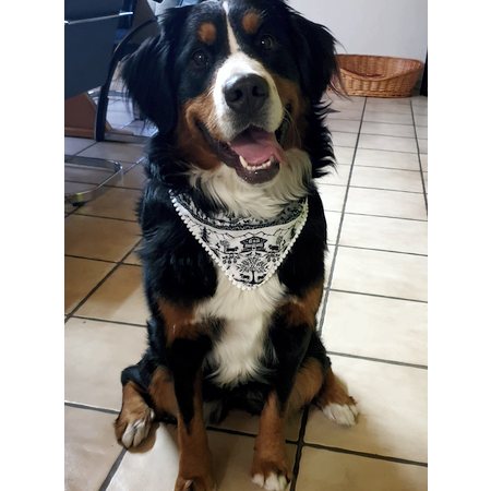 swiss bandana alpaufzug – Bild 6