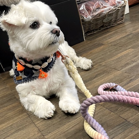 bandana jeans stars – Bild 9