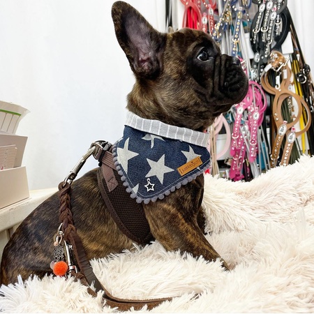 bandana jeans stars – Bild 4