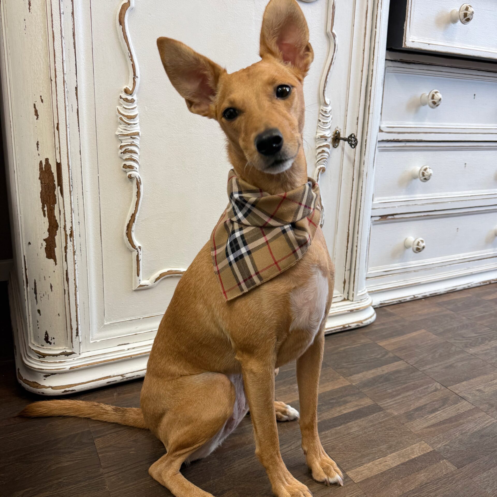 bandana london calling – Bild 6