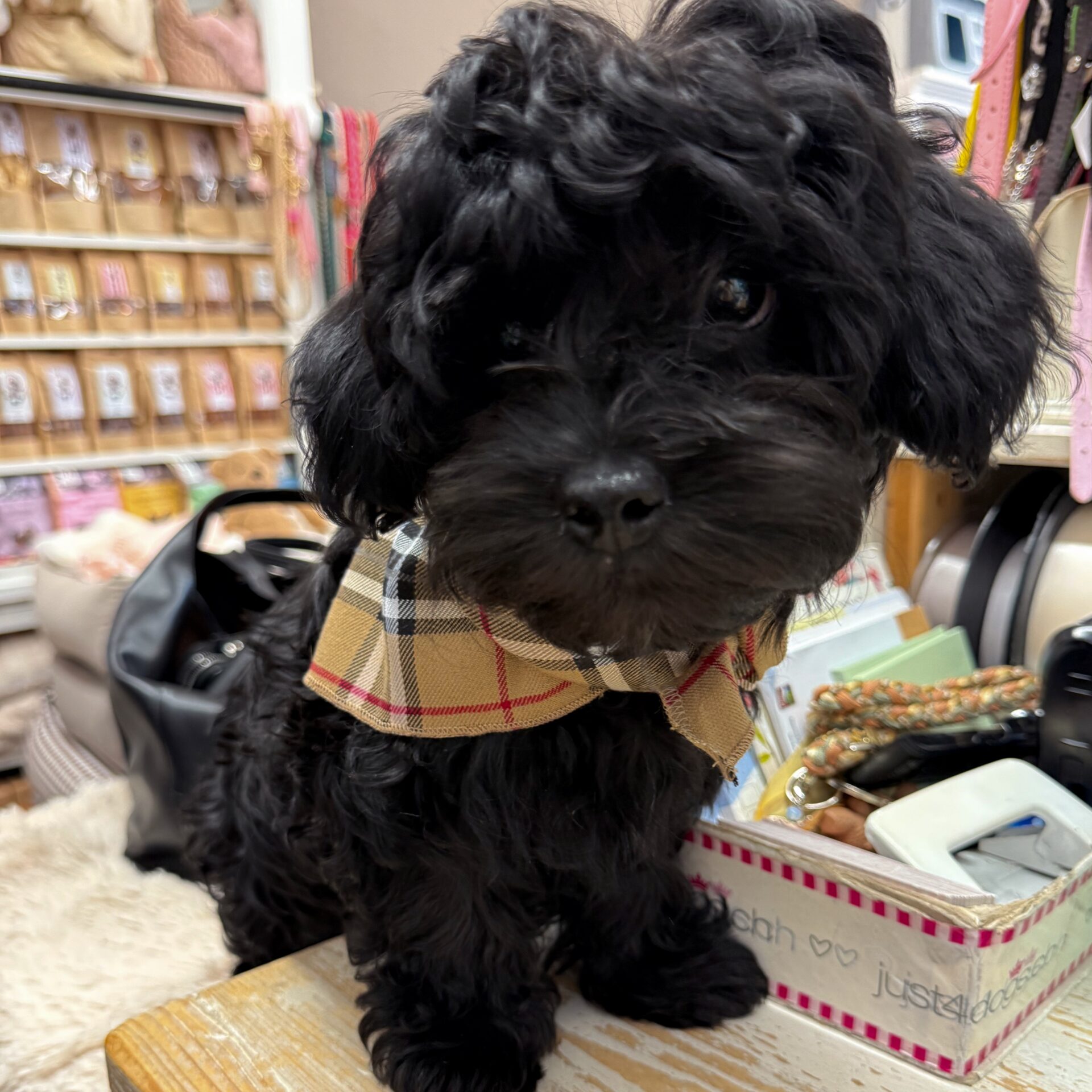 bandana london calling – Bild 3