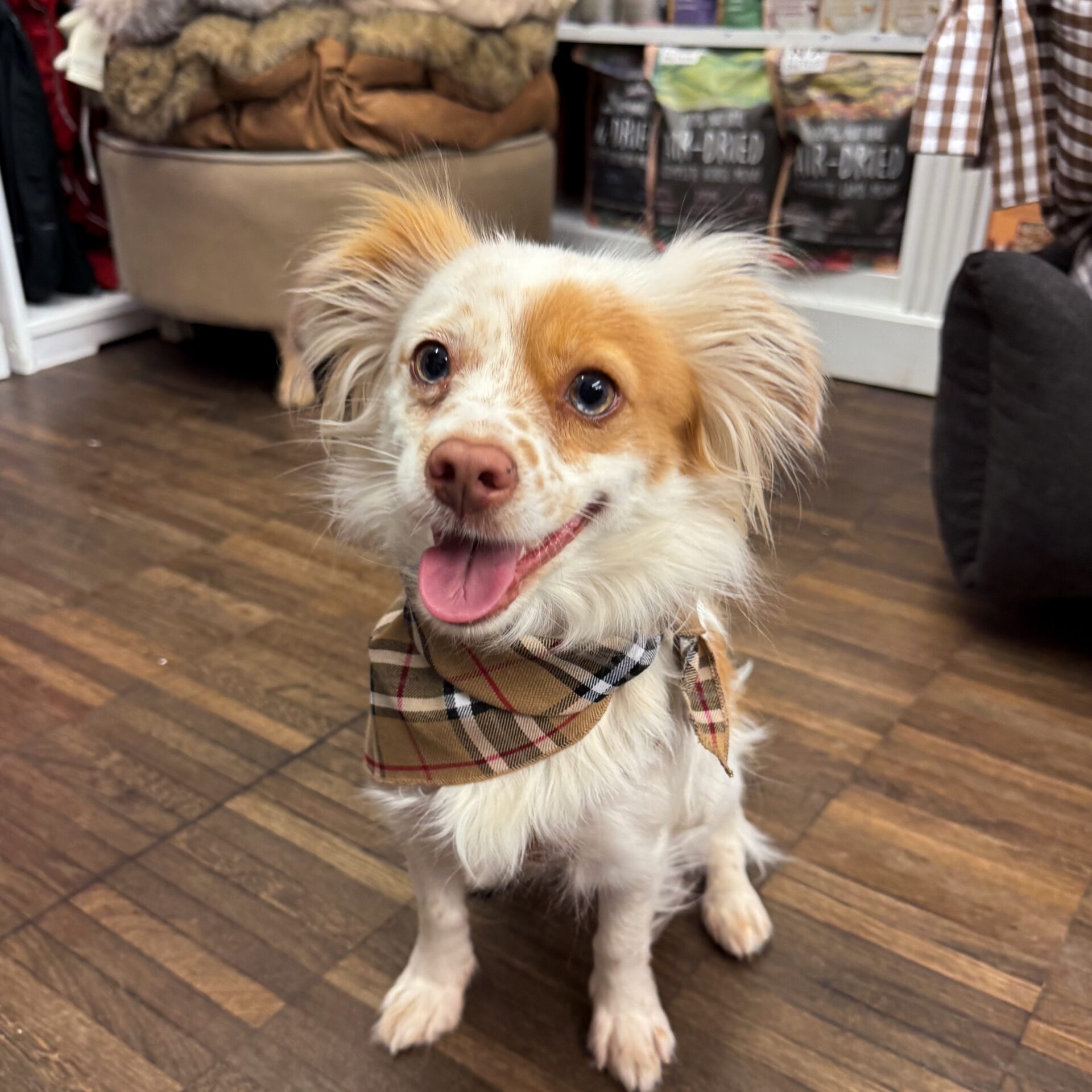 bandana london calling – Bild 5