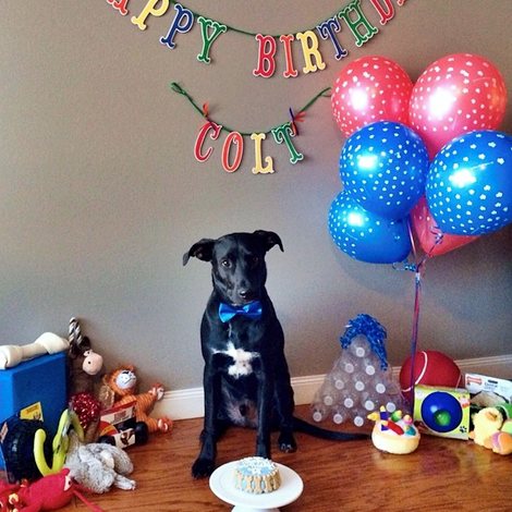 happy birthday cake blue – Bild 3