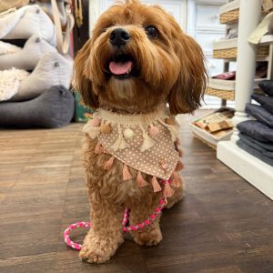 boho bandana flamingo