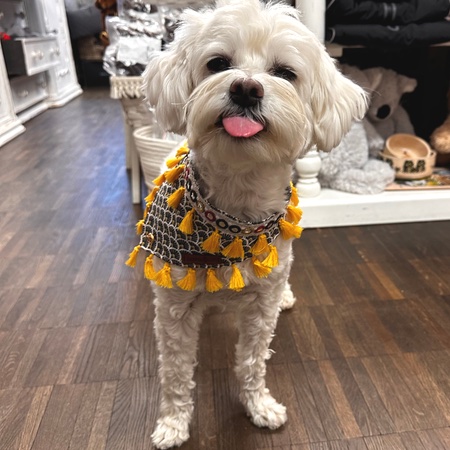 boho bandana sunshine day – Bild 5