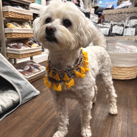 boho bandana sunshine day – Bild 8