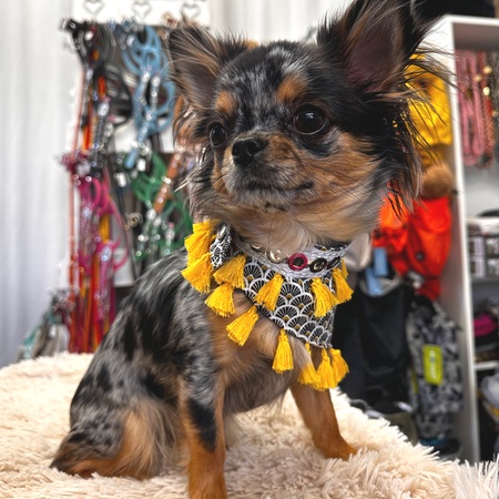 boho bandana sunshine day – Bild 4