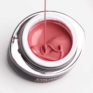 Brush & Go Color Gel G110 – 4.5ml