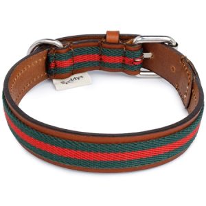buddys hundehalsband inspired by gucci