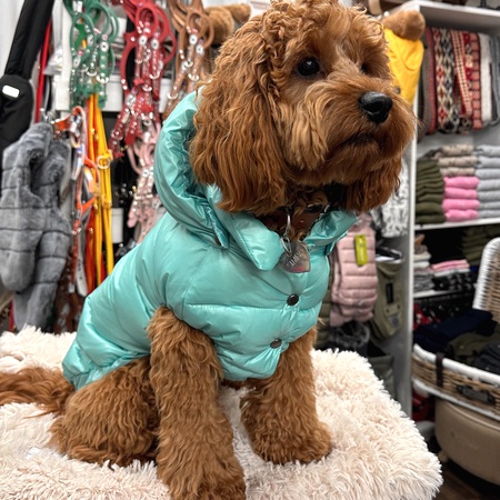 daunen weste mit kapuze tiffany blau – Bild 6