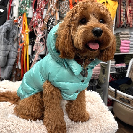 daunen weste mit kapuze tiffany blau – Bild 3