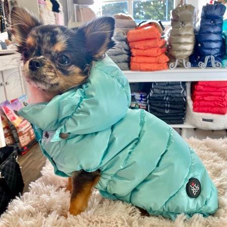 daunen weste mit kapuze tiffany blau – Bild 4