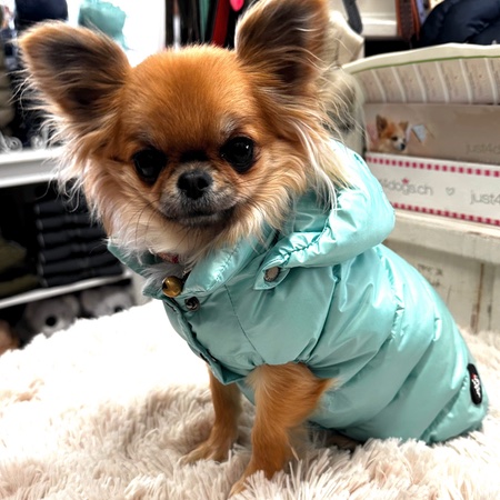 daunen weste mit kapuze tiffany blau – Bild 8