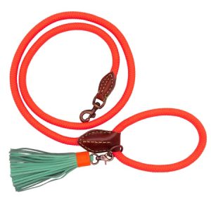 dog with a mission kordelleine korall