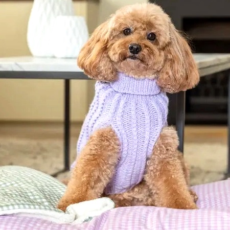 dogue hundepullover lila – Bild 4