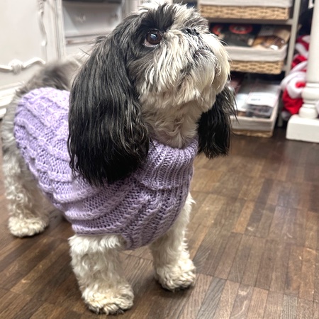 dogue hundepullover lila – Bild 5