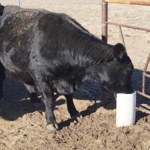 DRINKING POST 2100 für Rinder – frostfreie Tränke für Rinder ohne Strom