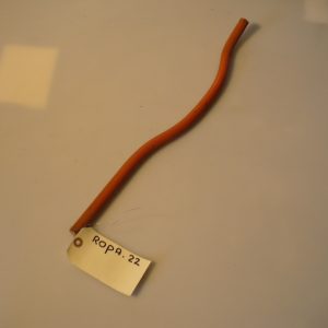 Siebsternzinken pz. Ropa Tiger