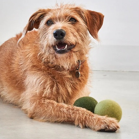 filz hundeball von miacara – Bild 3