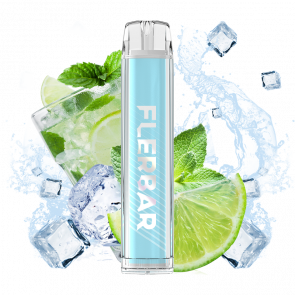 Flerbar – Einweg E-Shisha / Mojito Plum