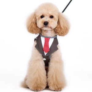 frack mit kravatte harness