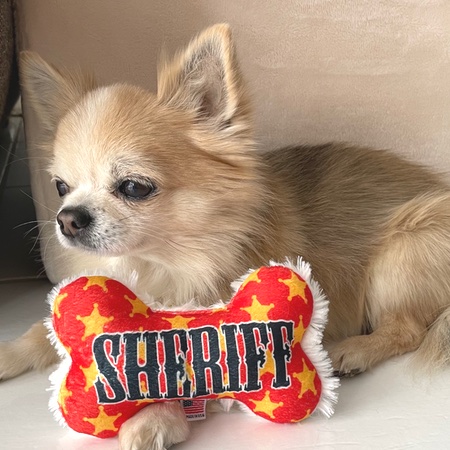 funny toy sheriff – Bild 3